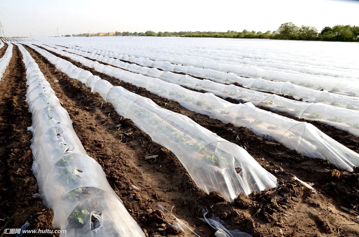 Types de films le paillis de plastique de l'emballage des sacs pour le jardinage et agricoles