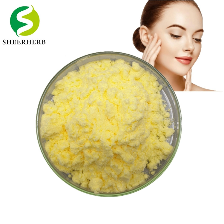 Best Price Food Grade Medical Cosmetics Raw Materialsalpha Lipoic Acid Powder 1077-28-7