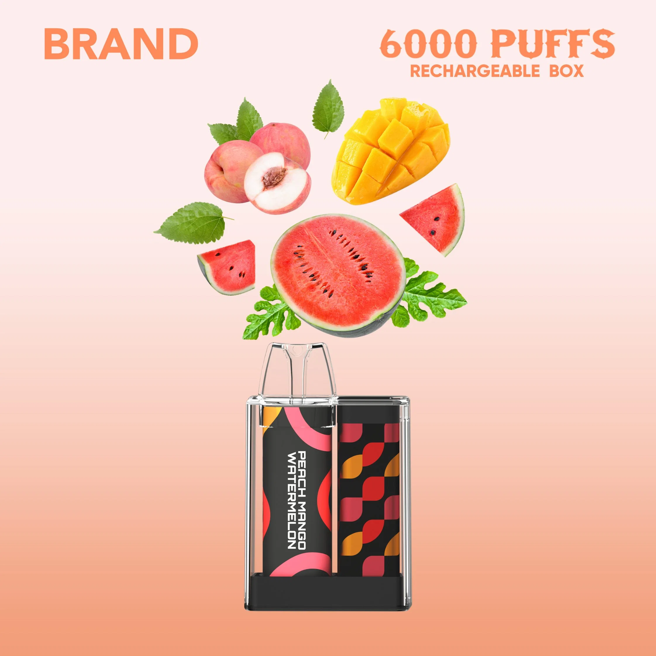 OEM dernière conception jetable E-cigarettes Vape Pen Puff avec fruit Saveur