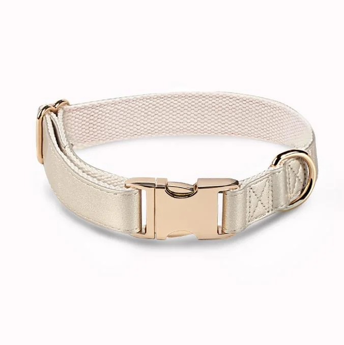 Soft Leather Dog Collar with Gold Adjustable Metal Buckle