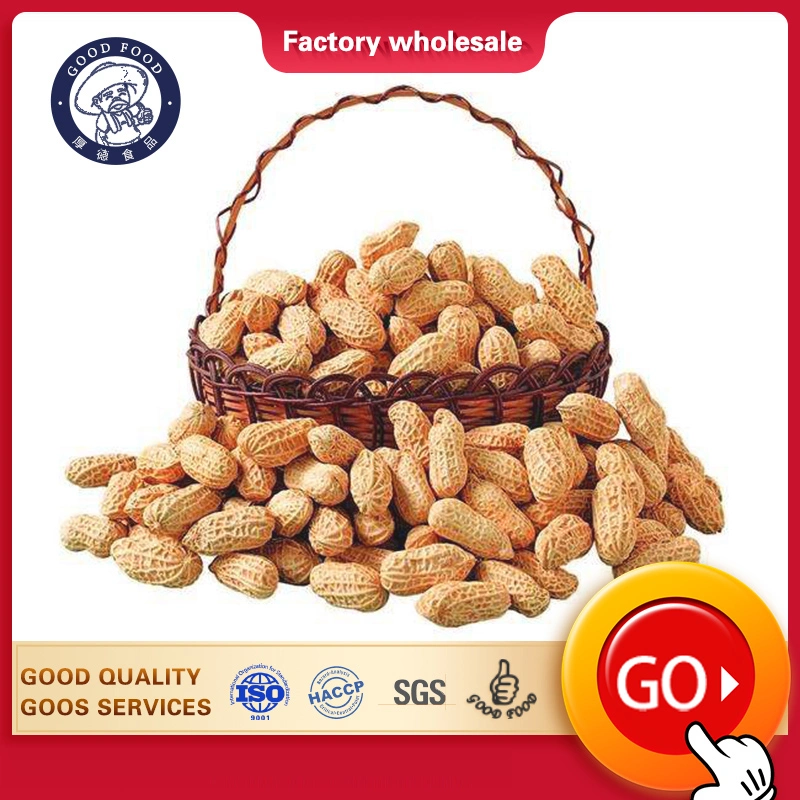 Ex-Factory Price Import Prices of Raw Peanut in Shell in China