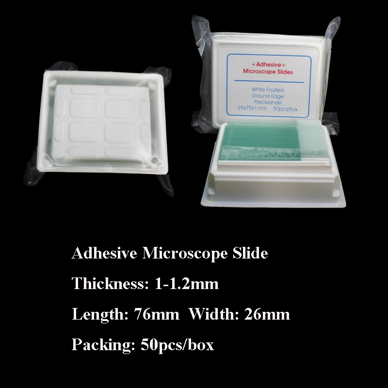 25.4X76.2X1.0-1.2mm Prepared Microscope Adhesive Lab Glass Slides