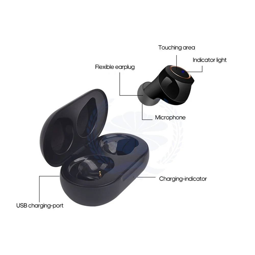 Wireless Bluetooth Hearing Aid Sound Amplifier Cic Rechargeable Box Earphone Hearing Aid for The Elderly