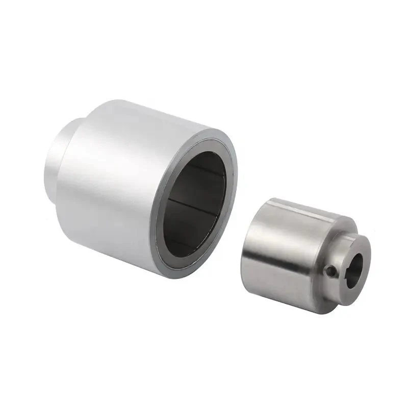 Customize Drive Magnetic Shaft Coupling Neodymium Magnet for Motor Pump