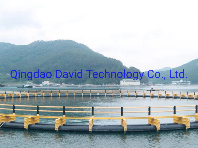 Professional Supplier of Fishing Cage/Aquaculture Fish Farming Cages/Aquaculture Net Cage