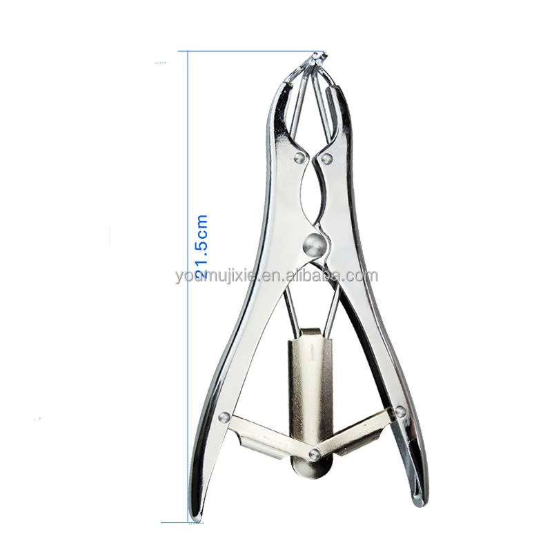 Stainless Steel Pigs Sheep Tail Docking Castration Forceps Bloodless Castration Pliers