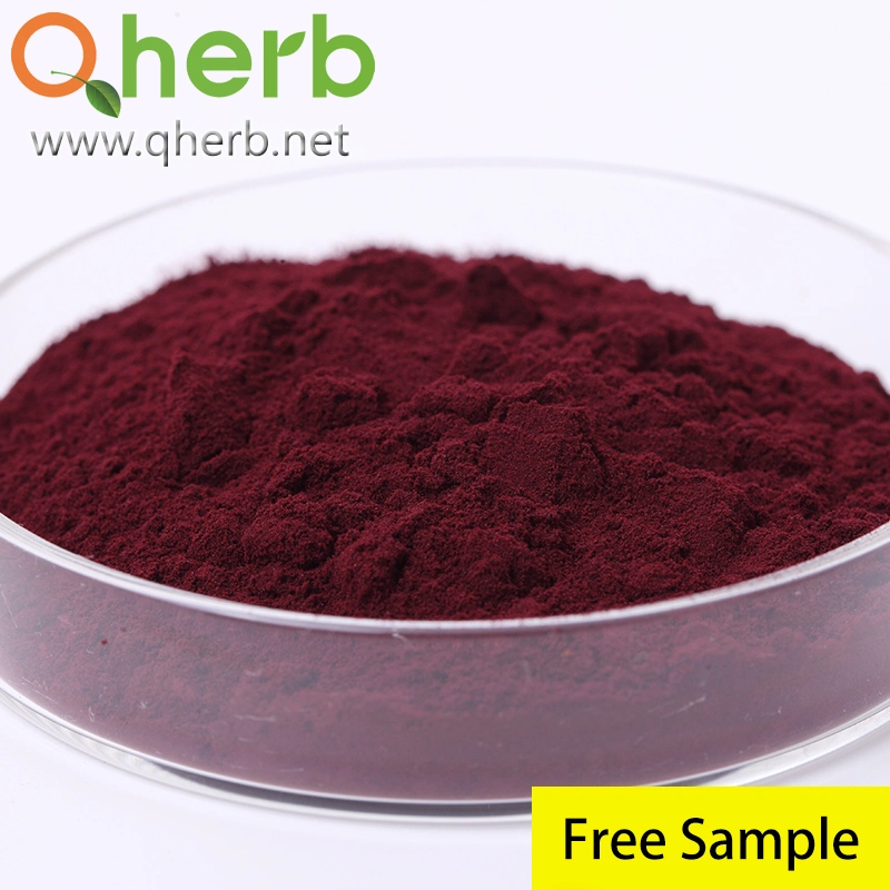 Oligomeric Proanthocyanidins/Anthocyanidins 25% UV Cowberry/Vaccinium Vitis-Idaea Lingonberry Extract