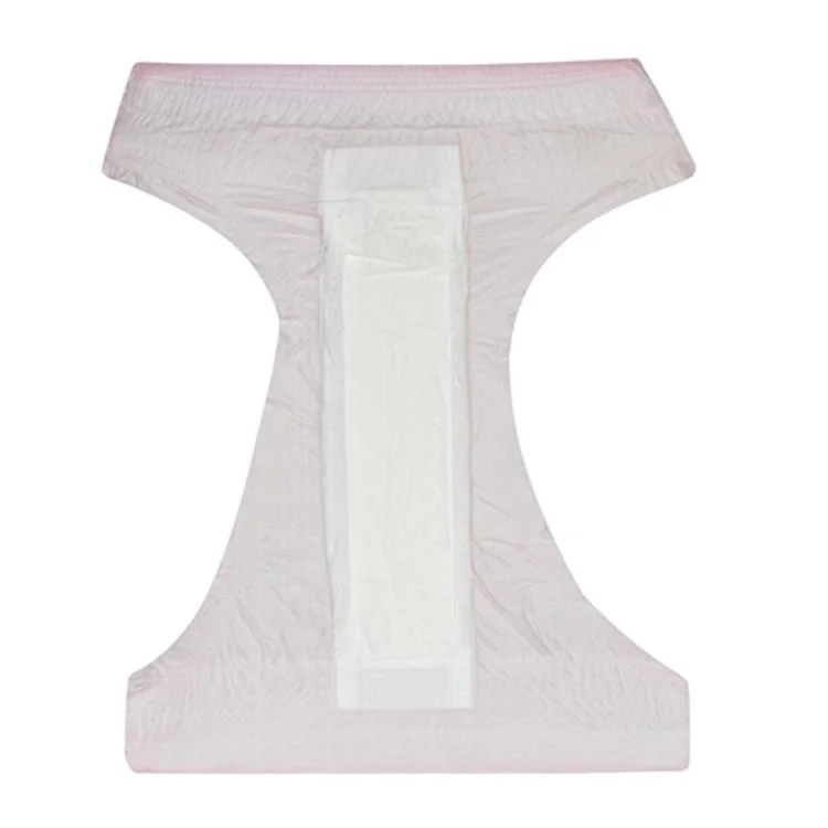 Leak Proof Sanitary Pants Pad Cheap Panties Women Lady Menstrual Panty Diaper