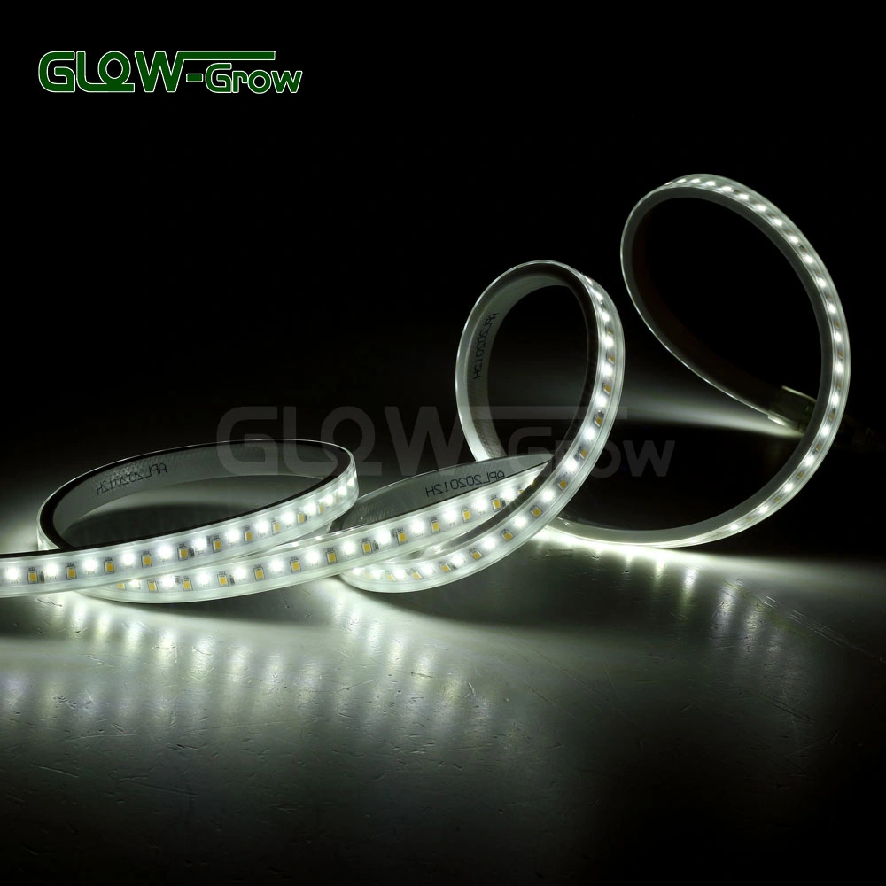 164FT Dual Color Flexible LED Rope Light Strip SMD 2835 LEDs with Dimmable IP65 Waterproof Remote Controller