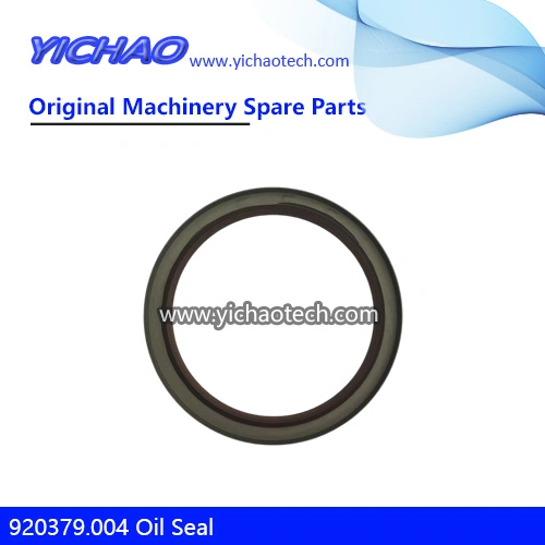 Genuine 923109.0427 Oil Seal 231884/60121980 for Kalmar Dcd200-300 Container Reach Stacker Parts