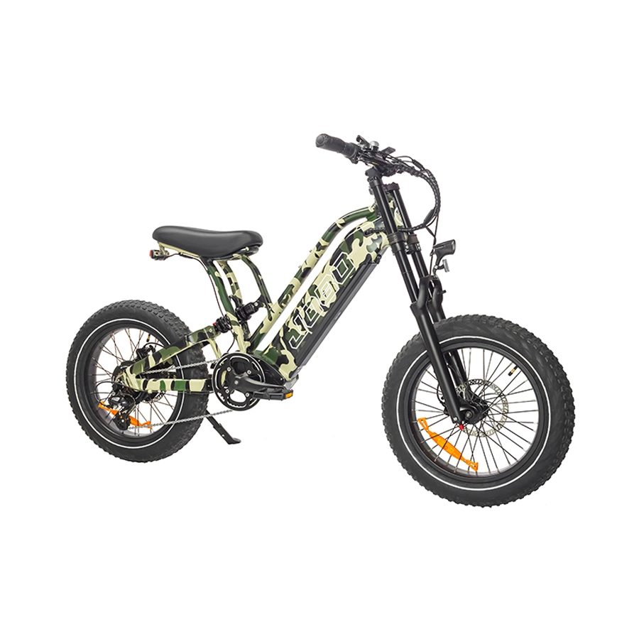 OEM 20 Inch 48V700W 20ah Battery 7 Speed New Item Fat with Big Saddle Electric Bike for Adults