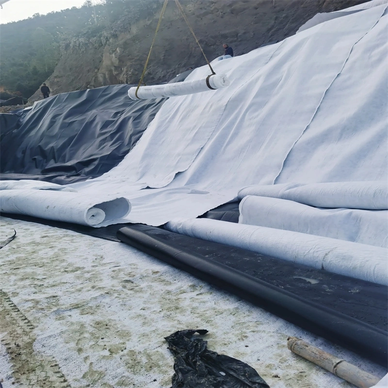 Landfill Used 3D Geocomposite Drainage Net with Double Side Nonwoven Geotextile