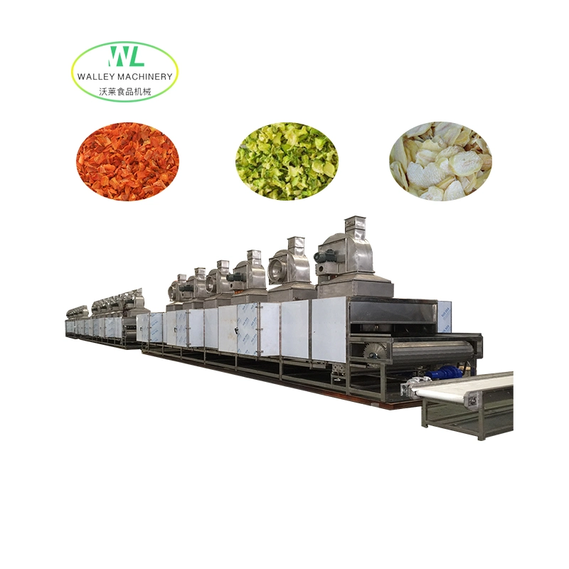 Hot Sale High Quality Fruit and Vegetable Continuous Belt Drying Dryer Machine
