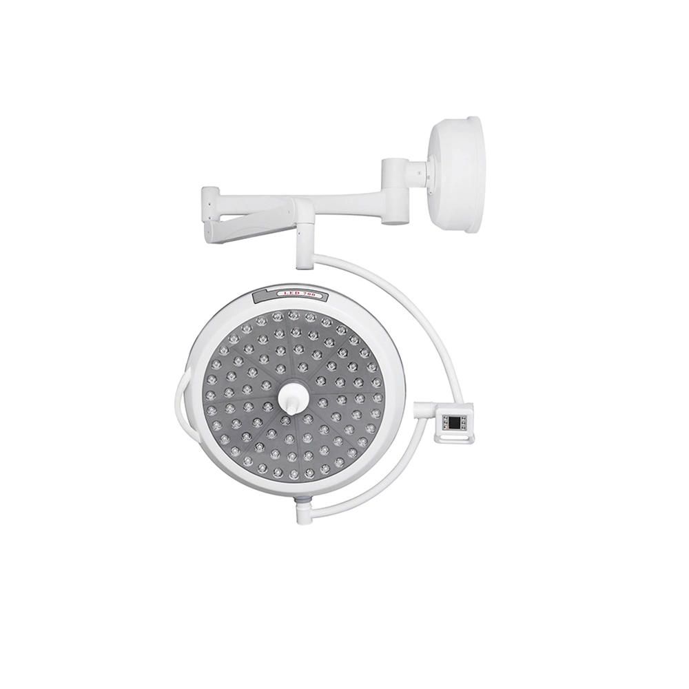 Hospital Double Heads LED Shadowless Operating Lamp Medical Surgical Cold Light Source with Good Price for Patient Use
