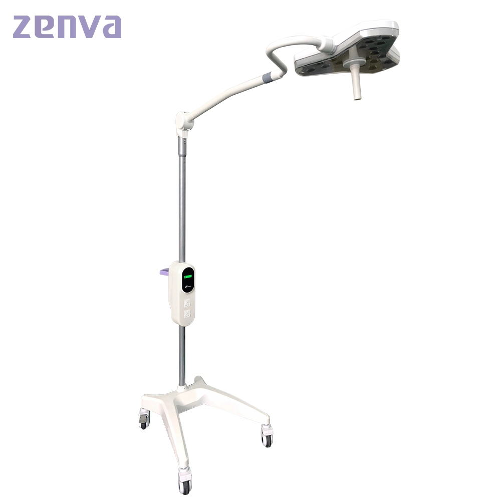 Medical Equipment Portable LED Surgical Ot Lights with Battery Exled300em