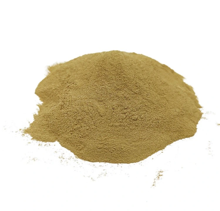 Extrait de plante Epimedium Icariin 5% corné Goat Weed Extract Powder Extrait d'Epimedium