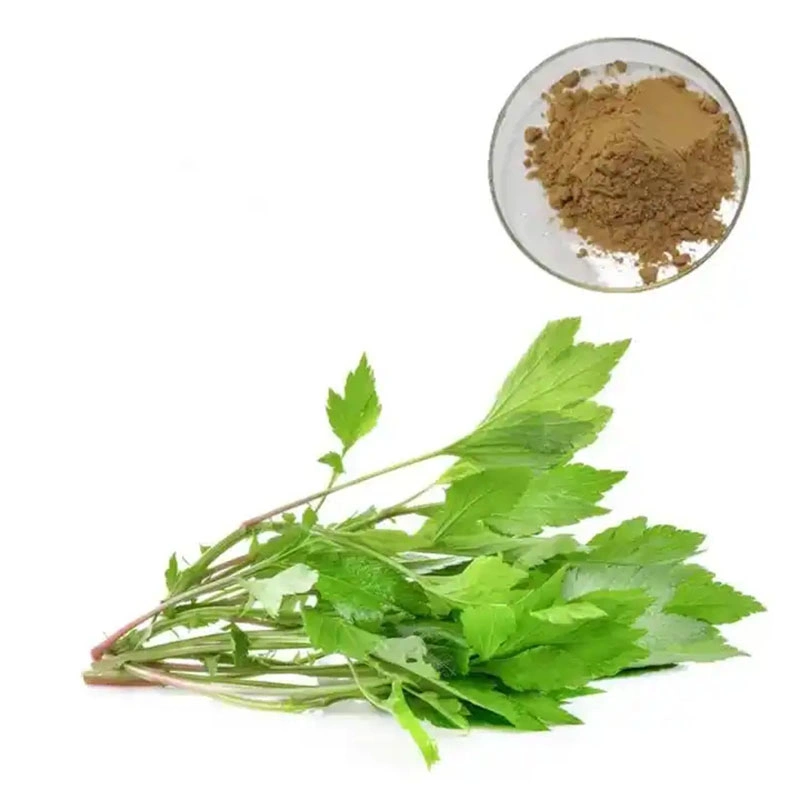 Mugwort extracto de hojas de muestra gratuita de ISO 100% puro de la Artemisia orgánico Extracto de la hoja Princeps en polvo a granel 10: 1 Material de alimentación personalizado