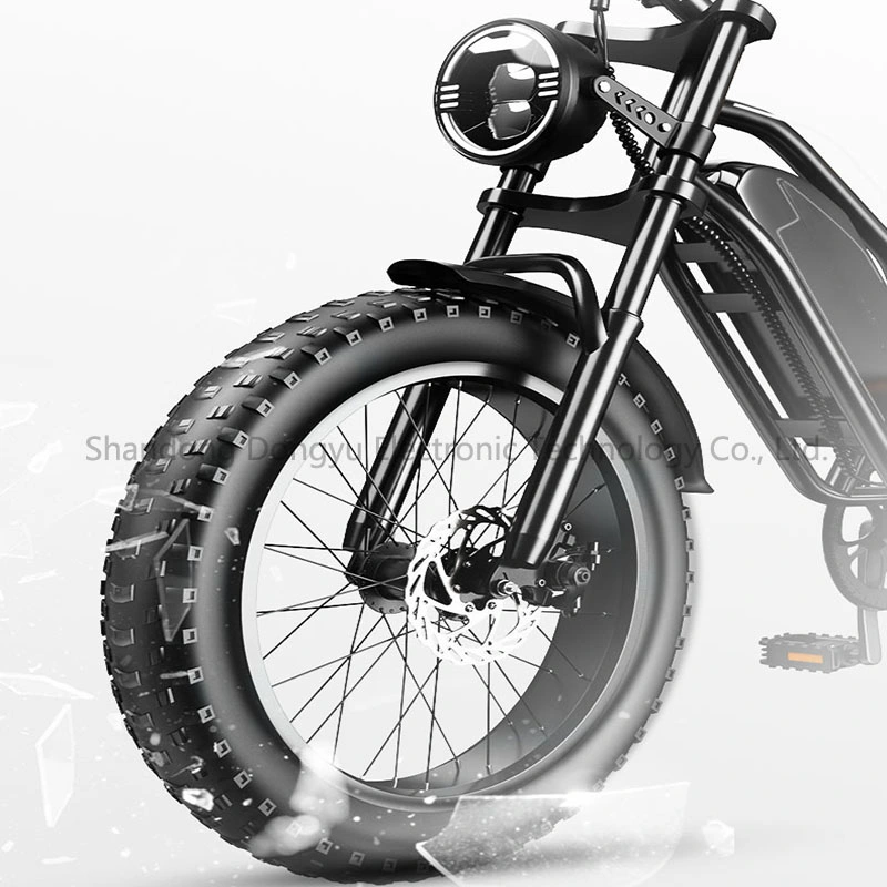 En stock Fat tire Electric Bike 20 pouces Off Road E-Bike 750W Motor 15ah Battery Beach Cruiser Electric Bicycle