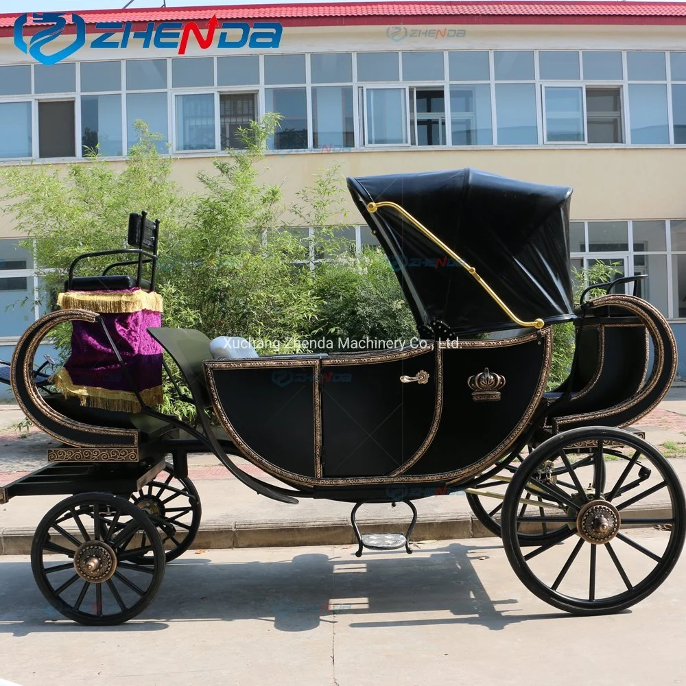 Zd-Sc21 Designed Sightseeing Carriage Wedding Carriage/Electric Wagon Special Transportation