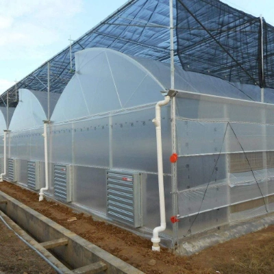 Xinhe Agriculture Customized Garden Products Polycarbonate Sheet Prefabricated House PE Film OEM