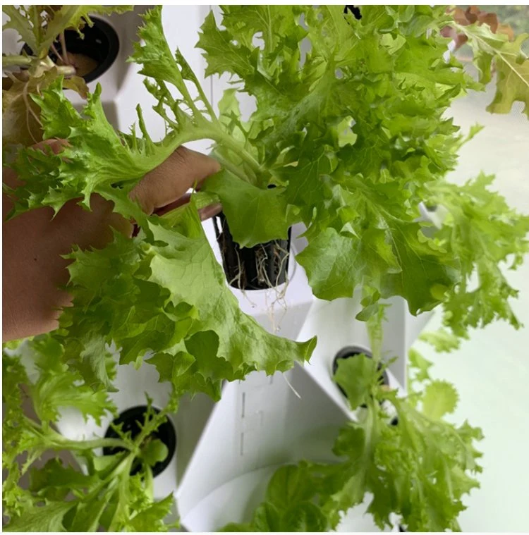 Хорошая цена Гидропоники 12 отверстий Вертикальная Гидропонная система выращивания Растительные овощи