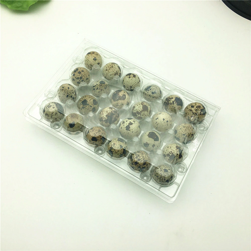 Disposable Plastic Quail Egg Tray Box