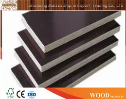 9-21mm Building Materials Film Faced Plywood with Best Price