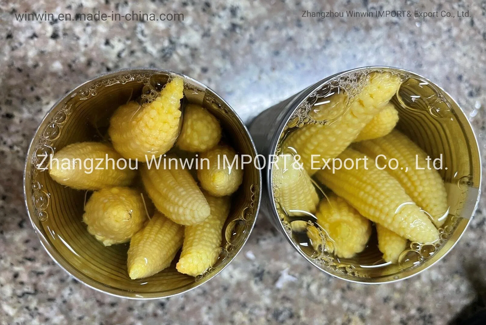 Canned Baby Corn Whole Spear in Brine Good Price