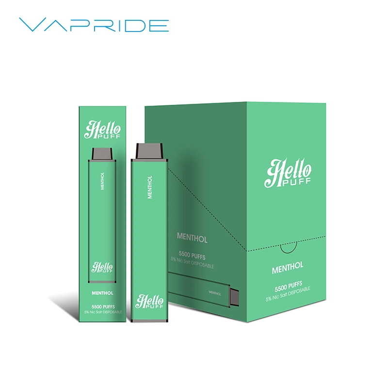 Smoke Vape Pen 10 Fruit Flavors Disposable/Chargeable Vaporizer Electronic Cigarette Pod 5500puffs