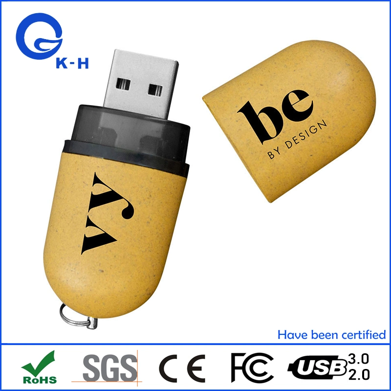 Ec-Friendly USB 2.0 Flash Memory Stick 64GB 128GB 256GB