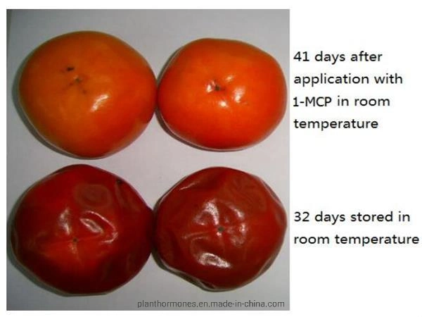 Fresh-Keeping Agent Fruit Preservative 1-Mcp Powder Price for Kiwifruit