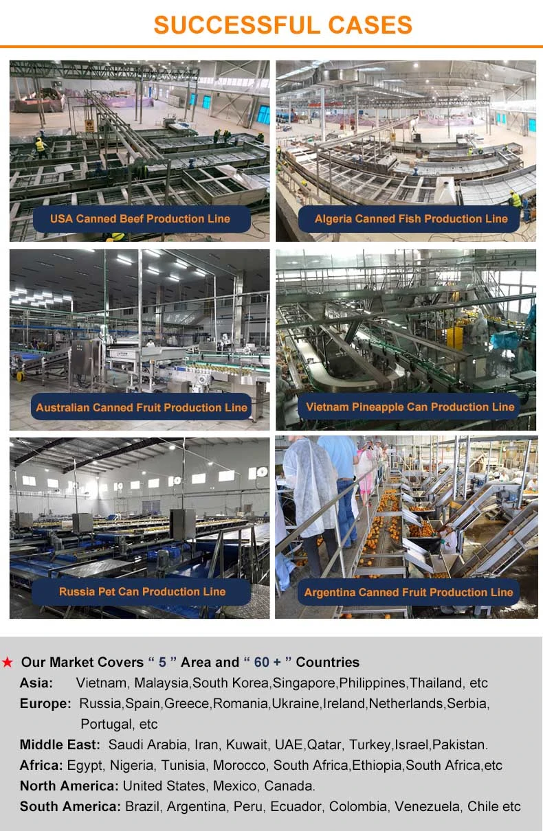 Customized Belt Conveyor PVC/PU Belt Conveyor Industry Flat Belt Conveyor