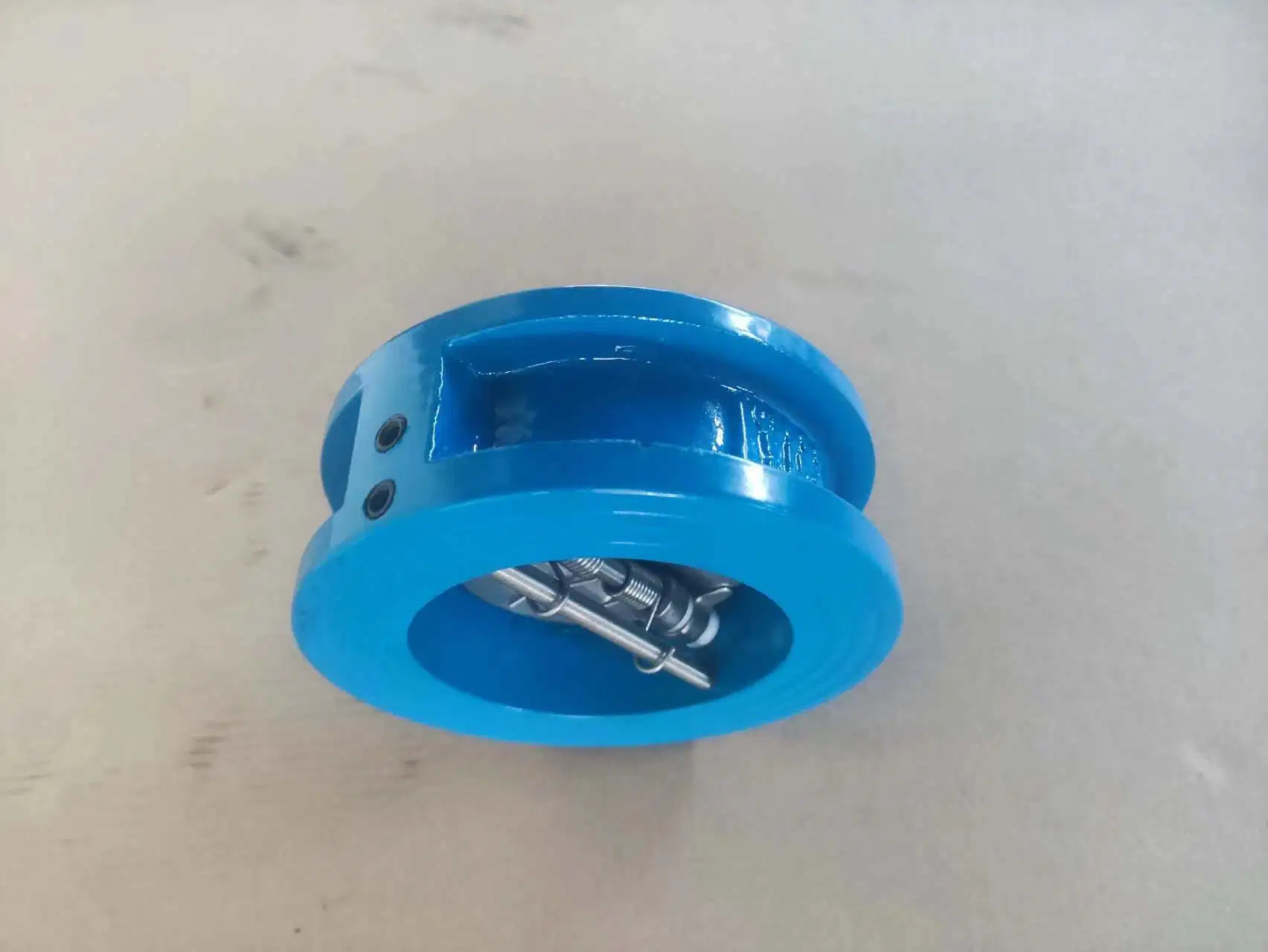 Wafer Check Valve Double Disc Iron for Water Disc SS304