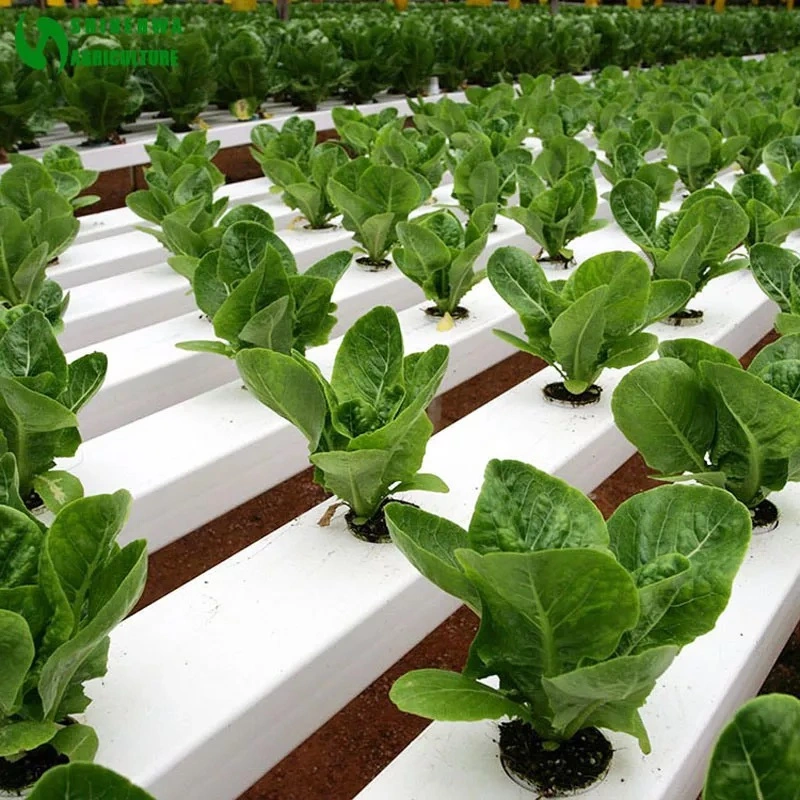 Customized 1.8mm - 2.0mm PVC Planting Hydroponic Systems Nft Gutter Growing System