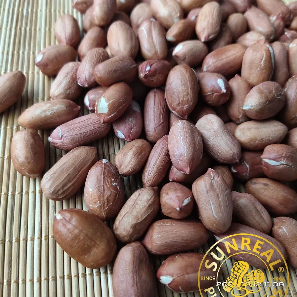 Raw Peanut Kernels Virginia 24/28 China//Good Service/All Necessary Licenses and Certificates