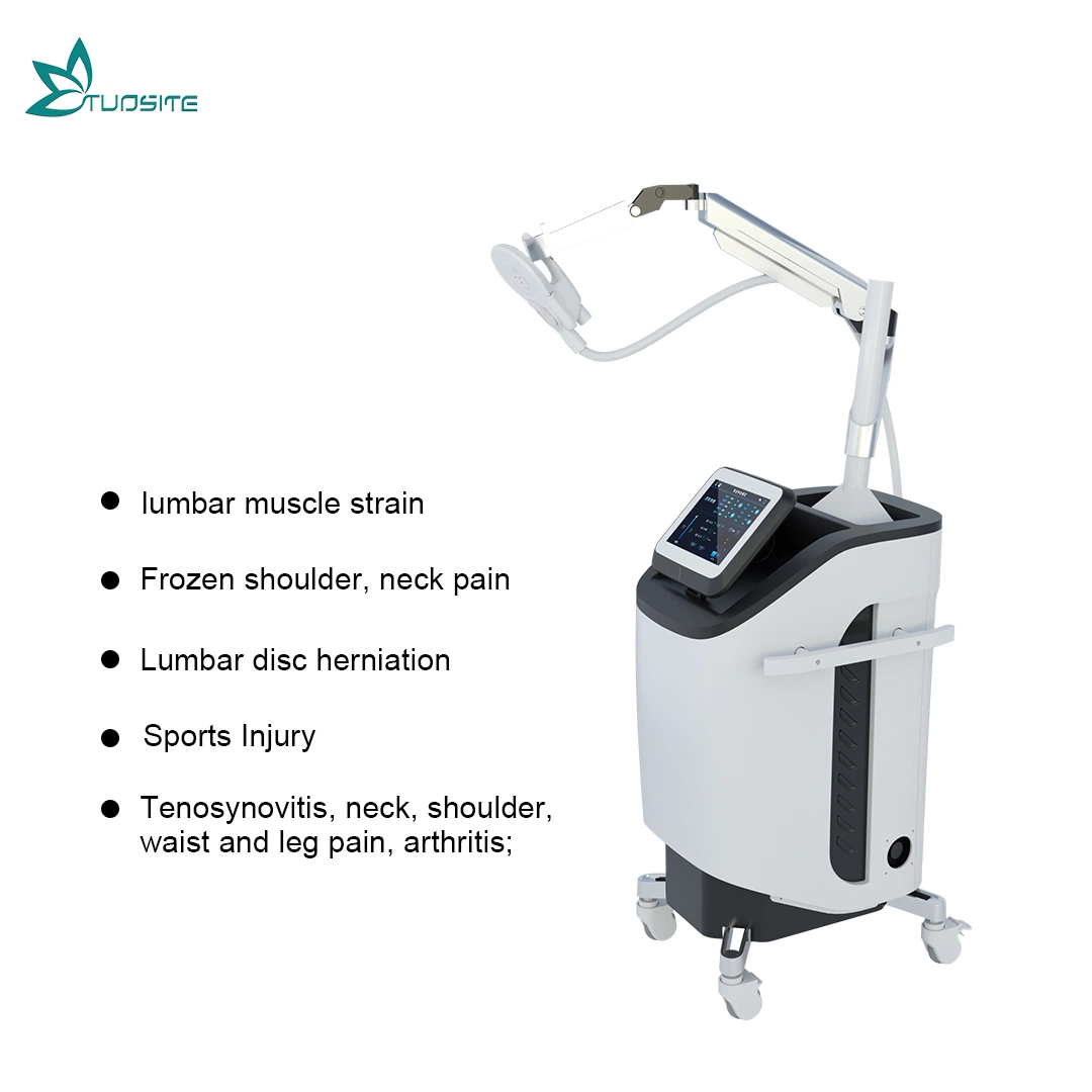 Laser Equipment Physiotherapy Treatment for Beauty Salon