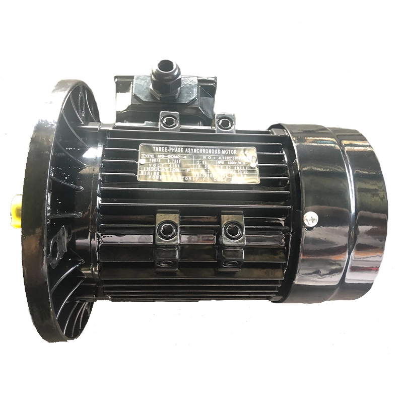 Ys 160m1-2 Series 11kw 15HP 2p 2800rpm 380V Three Phase Electrical Motor Model Accept Customization OEM