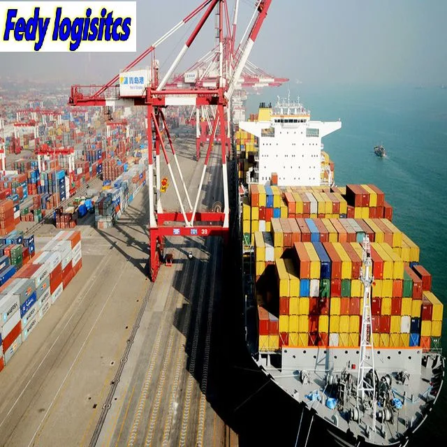 Seelogistik Versand Spediteur Agent aus China FCL / LCL zu Fidschi/Neuseeland/Cookinseln/USA Air Cargo Shipping Express UPS Delivery Versand durch Amazon Amazon