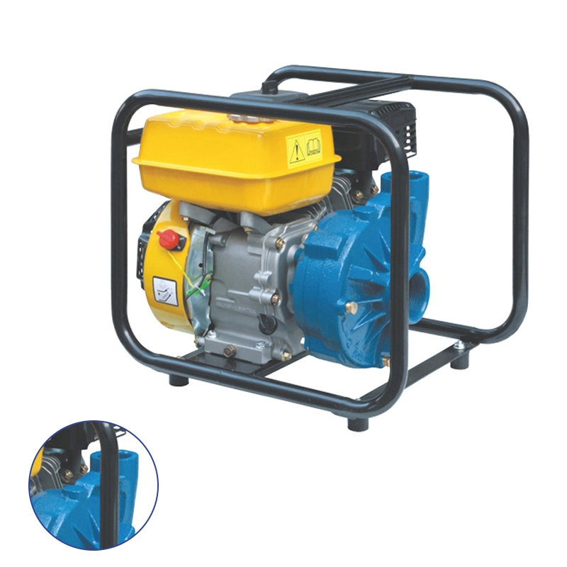 High Pressure Tt50 2 Inch Farm Irrigation Cast Iron Gasoline Engine Water Pump for Sprinkler