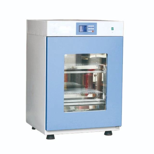 Horno de secado de vacío de laboratorio con el precio de fábrica