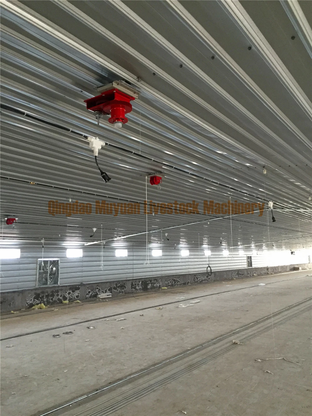 Floor Raising System Poultry Farm Equipment of Feeding Drinking Line