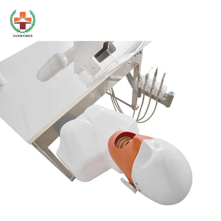 Hospital Equipment Dental Simulator Phantom Head at Stock