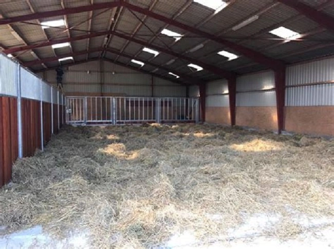 Afrika Schnell Günstige Stahlstruktur Gebäude Cowshed Huhn Haus Schicht Ei Huhn Cage Broiler Geflügel Farm House Fütterungssystem für Geflügelhaus