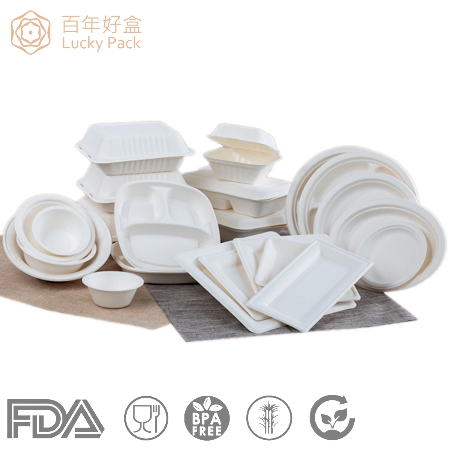 Biodegradable Disposable Sugarcane Food Container Bagasse Paper Food Packaging