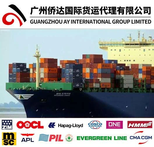 China Logistics Service Supplier nach Costa Rica/Panama/Kolumbien per Flugzeug