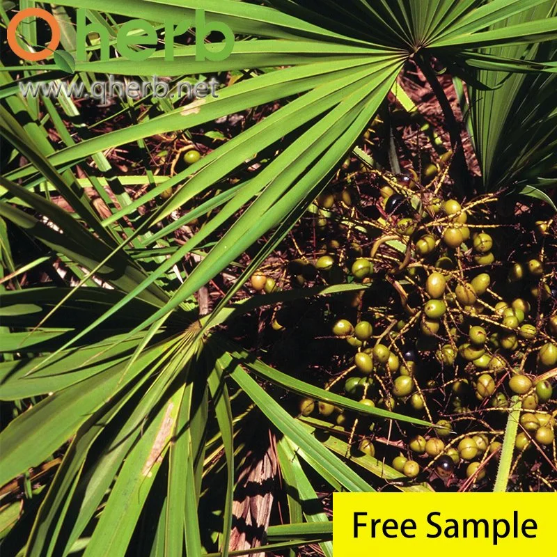 Saw Palmetto Extract 45% Gc Fatty Acid