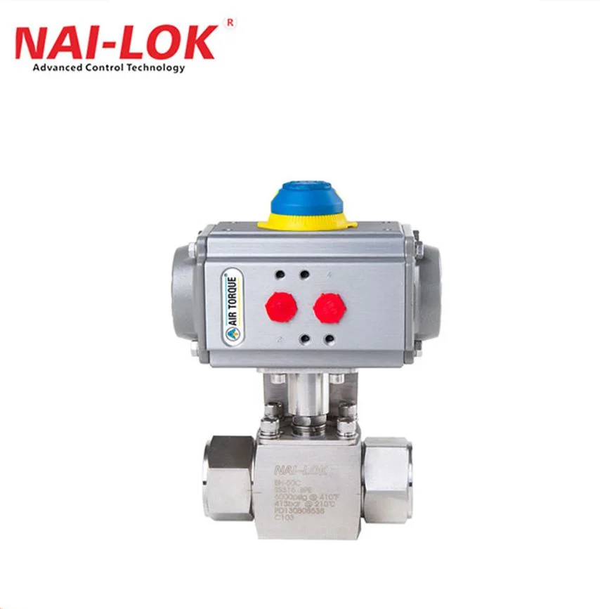 Nai-Lok Stainless Steel Instrumentation High Pressure 6000psi Swagelok Type Valves 2 Way Straight CNG Ball Valve