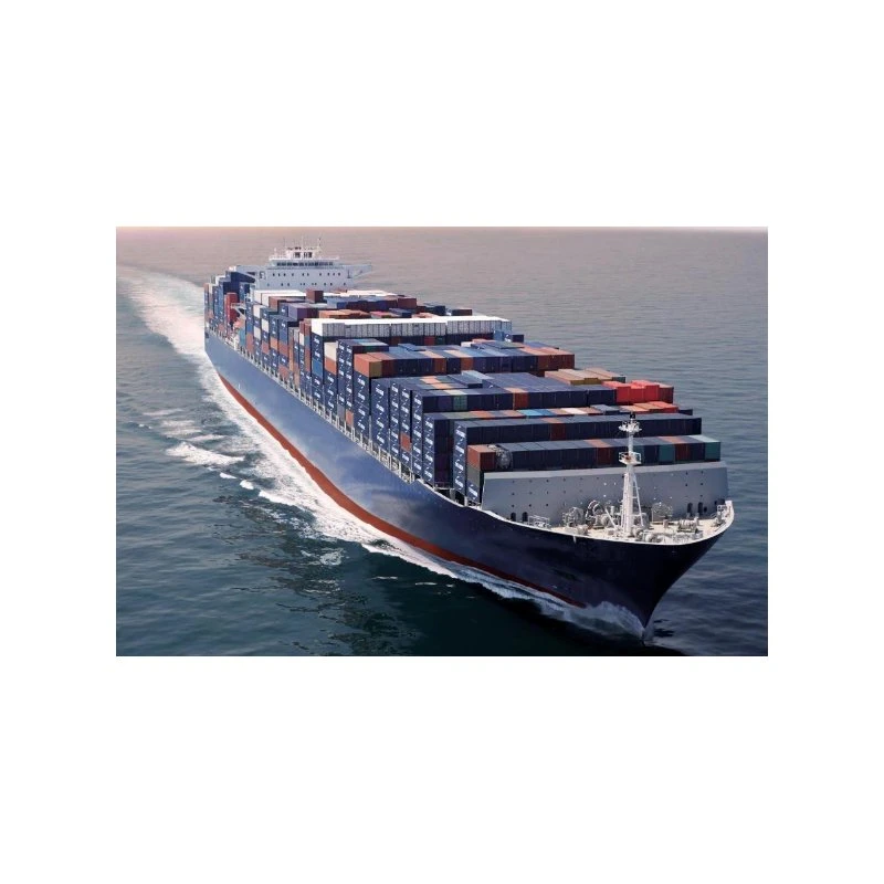 Professional Sea Freight Shipping Agent From China to Canada