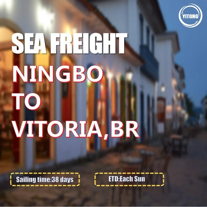 Shenzhen Cargo Ship Price Shipping to Vitoria Brazil