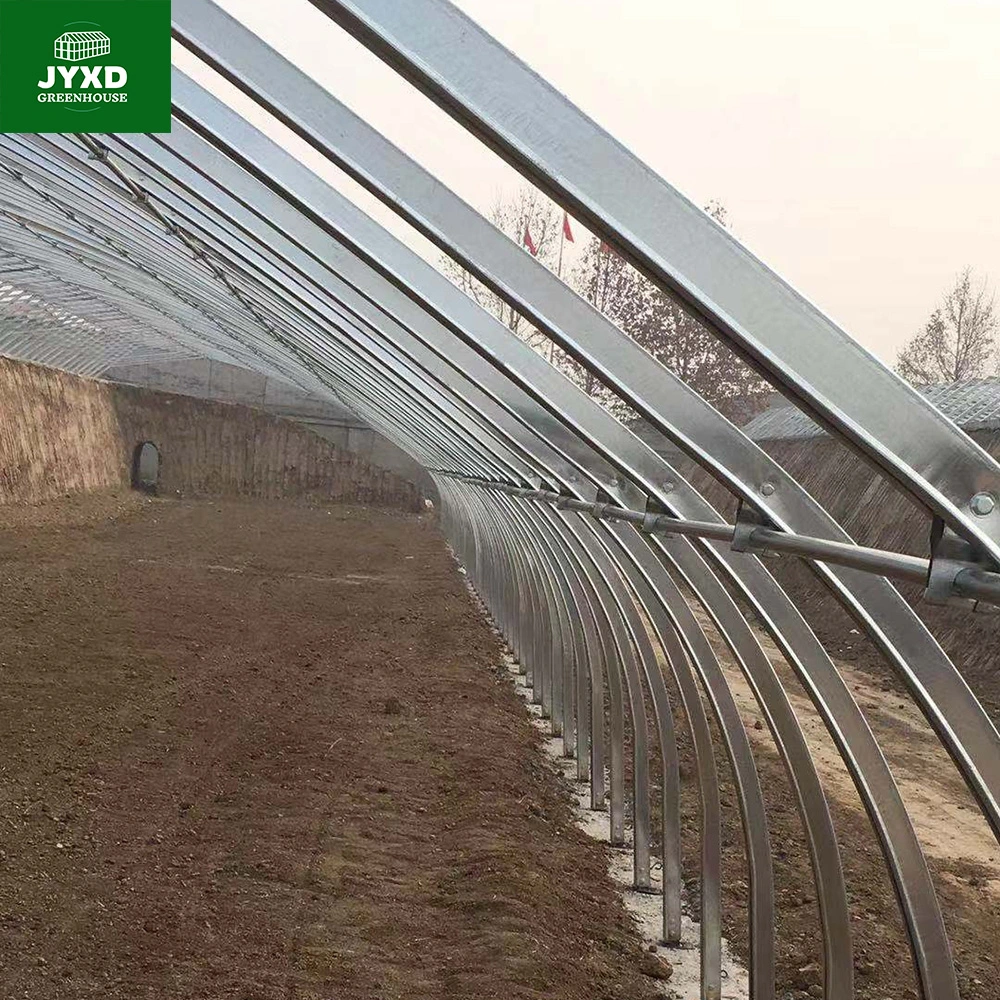 Modern U Section Frame Agricultural Greenhouse with Cooling System for Fruit/Vegetable/Flower/Tomato/Cucumber/Lettuce/Pepper/Strawberry